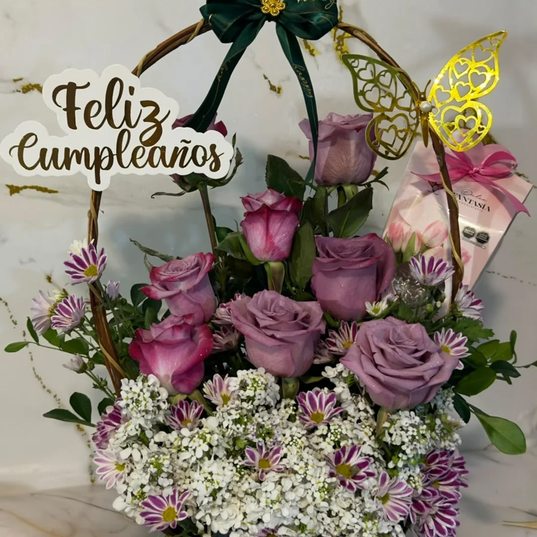 Canasta Ventur